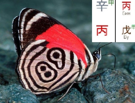 [​IMG]